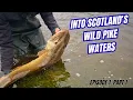 Download Lagu 48 Hours of Pike Fishing in Scotland | Hunting Monsters: Ep1