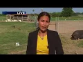 Sinkholes Still Present Near McAllen Farm