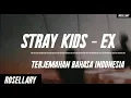 Lagu STRAY KIDS - EX [Lirik terjemahan Bahasa Indonesia]