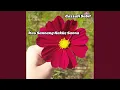 Download Lagu Kau Sannang Nakke Sanna (Langsung)