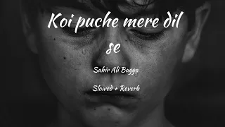 Download Koi Puche mere dil se | Slow and Reverb | #Slow #sad MP3
