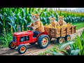 Download Lagu Mama Cat and Kitten Harvest Corn and Make Sweet Corn Milk at Their Cozy Loving Home 🌽🐱💛
