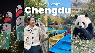 成都Vlog｜冬游熊猫之城与璀璨夜景｜《在中国的Fancie》第63集