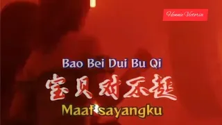 Download Bao Bei Dui Bu Qi Lagu Remix Mandarin Song The Best MP3