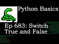 Python Basics Tutorial Switch Between True and False Best Practice