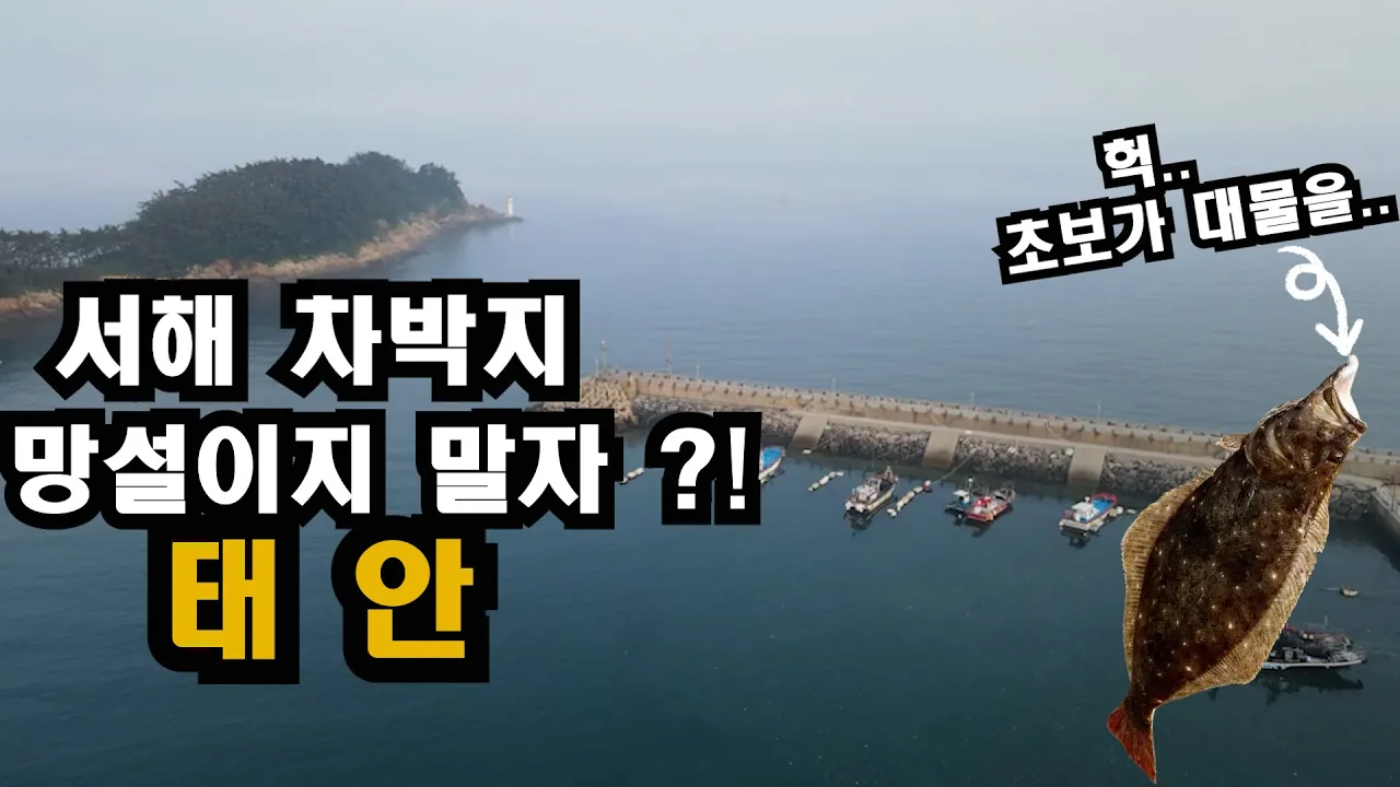 차박지 하면 태안.. 천리포항,천리포해수욕장 차박 설명서!! 초보 낚시꾼 루어낚시 대물 광어를 낚다..!! サムネイル