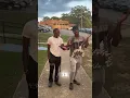 Download Lagu He been lying to the females 😭😭#yaboimakel #viral #explorepage #reels #trending #viralvideos