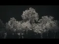 Kiasmos - Drawn (Official Music Video)
