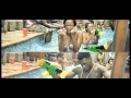 Download Lagu Burna Boy - Like To Party (OFFICIAL VIDEO)