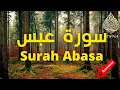 Download Lagu 🌴 Surah Abasa Abdullah Matrood ☀️ سورۃ عبس تلاوة جميلة عبد الله مطرود 🌴