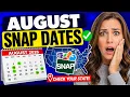 August 2026 SNAP EBT Payment Schedule EVERY 50 State s Deposit Date New Rules