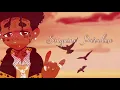 Lil Uzi Vert - Sanguine Paradise (432 Hz)