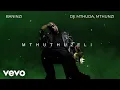 Download Lagu De Mthuda, Mthunzi - Baninzi (Visualizer)