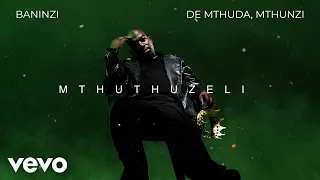 de mthuda mthunzi baninzi visualizer 
