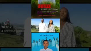 Siifan Fayyeeraa New Oromoo Music 