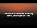 SLANDER - Love is Gone (Lyrics) ft. Dylan Matthew