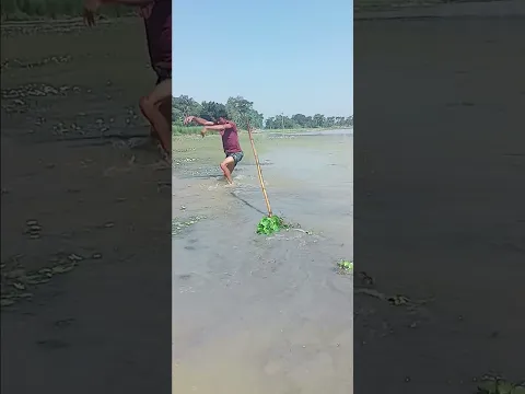 কি বিশাল বড় মাছ পেয়ে গেলাম গো 🤣🤣