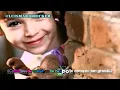 Danna Paola - María Belén [Video Official]