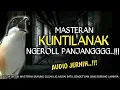 Download Lagu Ngeriiii..!!!masteran cendet full tembakan kuntilanak