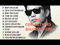 Download Lagu Best of The Best Album Saleem Iklim - Malaysia Slow Rock Kenangan