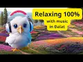 Download Lagu How to find relaxation in Da Lat through music