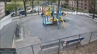 Dozens arrested in Brooklyn gang takedown