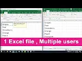 Make 1 Excel file allow Multiple Users at the same time NETVN