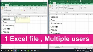 Make 1 Excel file allow Multiple Users at the same time NETVN