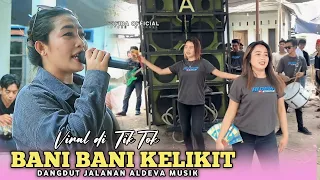 Download BANI BANI KELIKIT LAGU VIRAL TIKTOK VERSI ALDEVA MUSIK VOC RHIA MP3