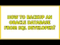 How to backup an Oracle database from SQL Developer