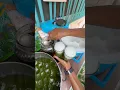 Download Lagu Traditional Grass Jelly Desert In Jakarta