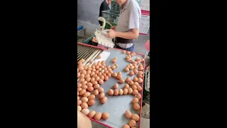                                 دندنها