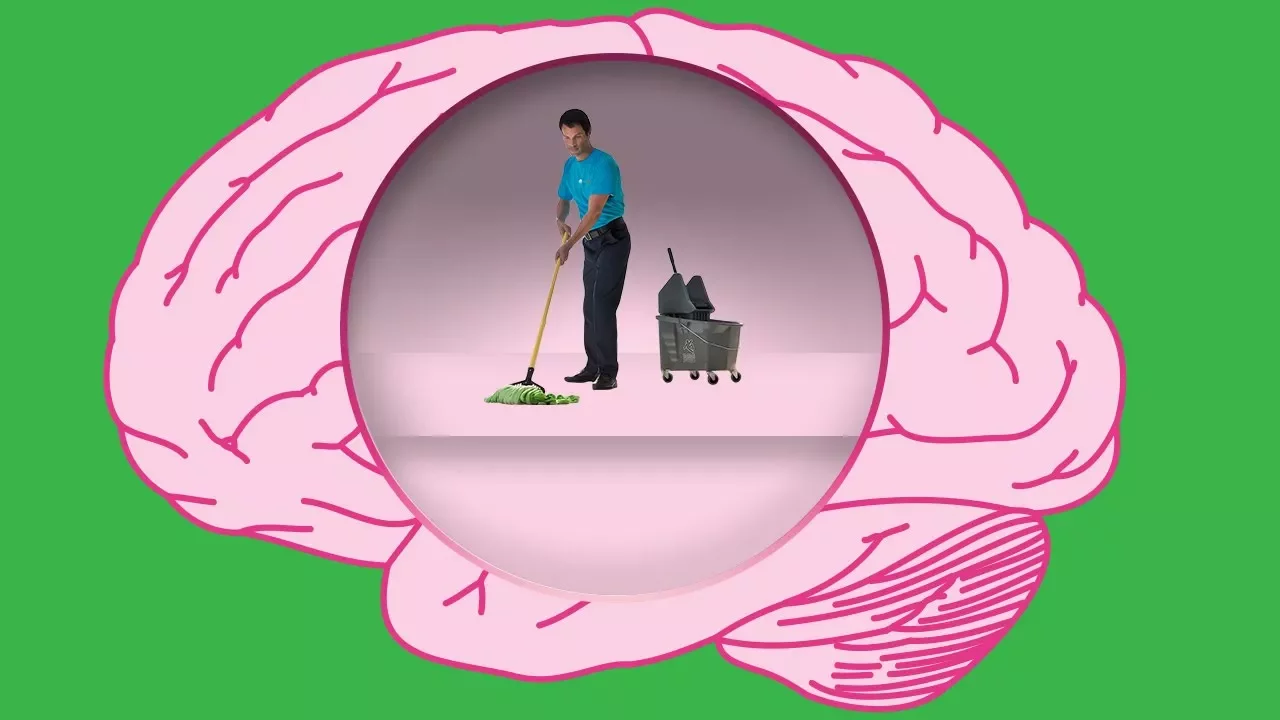How Does Your Brain Clean Itself?