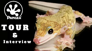 Get the Pangea Reptiles Tour and Interview