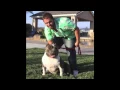 EXTREME AMERICAN BULLY PITBULL BREEDING - BULLISTIC X MIA www PitKrewKennels com