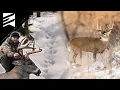 Learn How To Track Bucks In The Snow Like A Pro