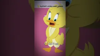 صديقتي العزيزة انتي حنونة كالبقرة توم المشاكس حالات وتس بطوط 