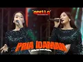 Download Lagu PRIA IDAMAN - Difarina Indra Adella | OM ADELLA LIVE GIGIR BLEGA BANGKALAN