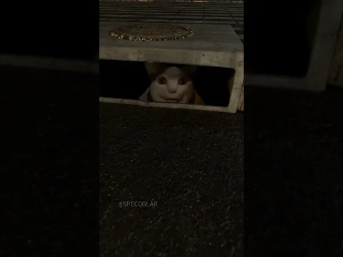 There is something inside the sewer