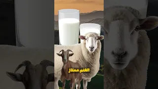 هل كل انواع الالبان سم دكريم على فكر تانى الحليب 