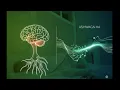 mind relaxing music