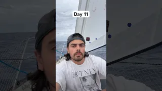 Day 11 sailing around the world without stopping