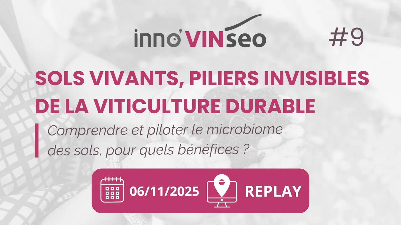 Sols vivants, piliers invisibles de la viticulture durable : REPLAY webinaire InnoVINseo