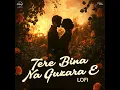 Tere Bina Na Guzara E (LoFi)