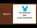 Mule 4 API Gateway and Auto Discovery