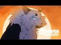 Solare || Animatic