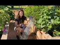 Protect Your Garden Why You Need Hardware Cloth Under Your Raised Bed Keep Pests Out