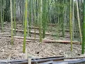 How to Use a Unique Method for Controlling Erosion