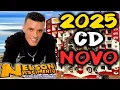 Download Lagu Nelson Nascimento CD 2025 O Rei da Pizadinha 20 MUSICAS NOVAS 2025