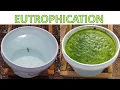Eutrophication Algal Blooming
